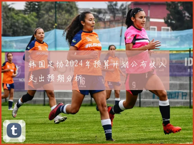 韩国足协2024年预算计划公布收入支出预期分析