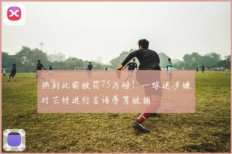 热刺此前被罚75万磅！一球迷涉嫌对芒特进行言语辱骂被捕